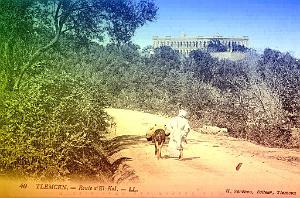 Tlemcen 215- Collection Montaner